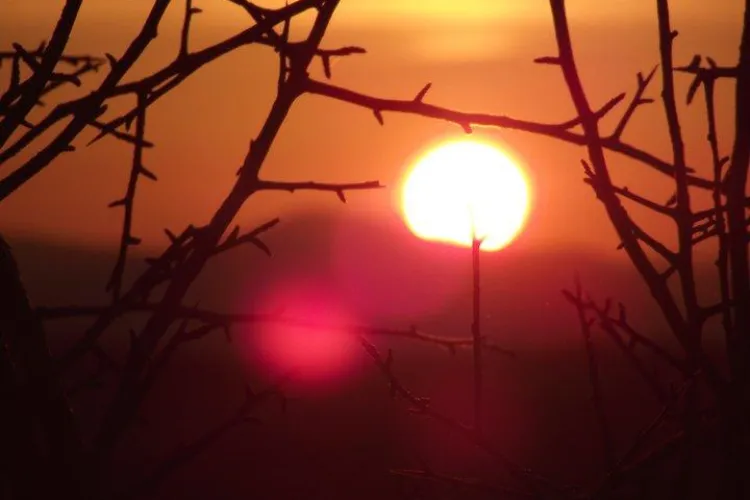 Concurs de fotografie "Orasul comoara". Pot fi facute fotografii cu aparate profesionale, dar si cu telefonul