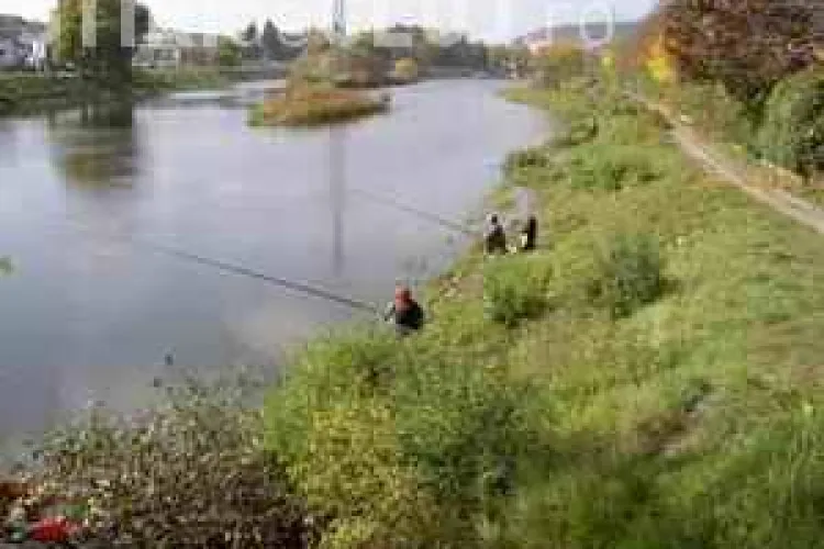 Parcul Rustic Ecologic, amenajat de maine, langa podul Garibaldi 