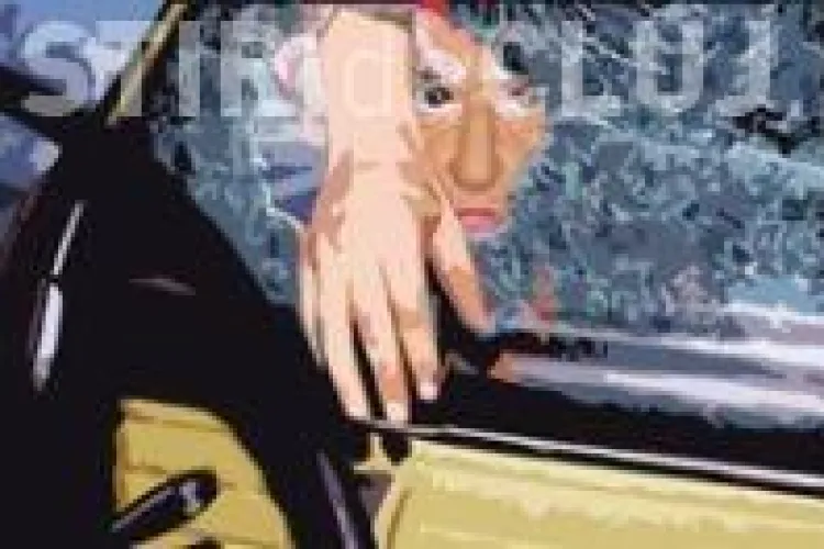 Trei minori, specializati in spargeri de autoturisme, au fost prinsi in flagrant in Gherla dupa o "lucrare"