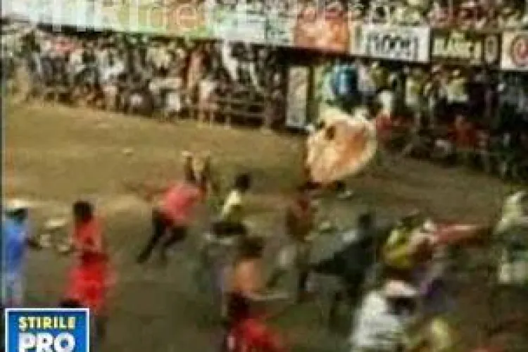 Macel la o corida din Columbia! Trei morti si 37 de raniti! VIDEO - IMAGINI SOCANTE