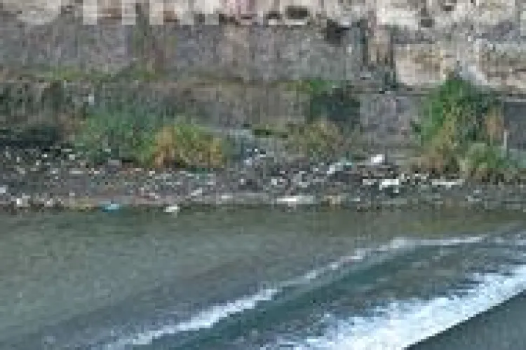 Raul Somes a iesit peste faleza in zona podului Garibaldi 