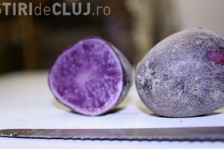 Cartofi violeti au aparut in supermarketuri din Marea Britanie