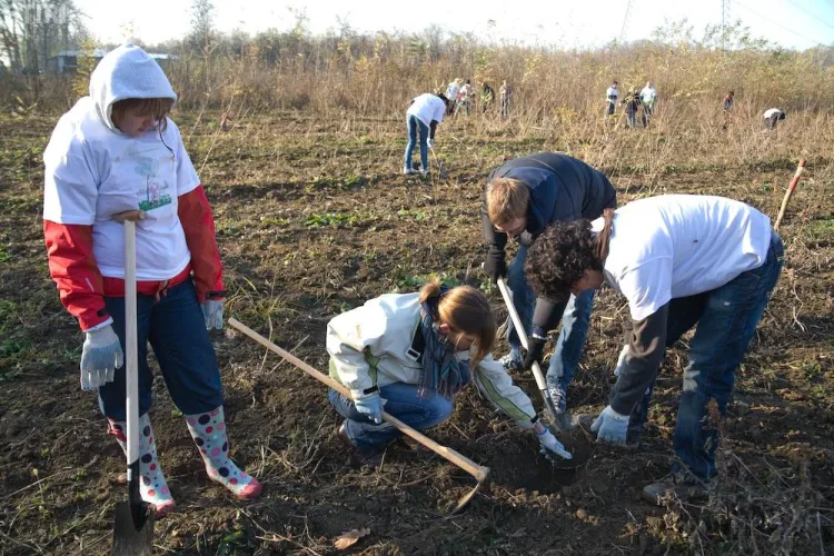 10.000 de puieti, plantati sambatala Palatca 