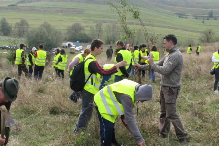 Un hectar de teren din Palatca, reimpadurit sambata de 350 de voluntari - VIDEO si FOTO