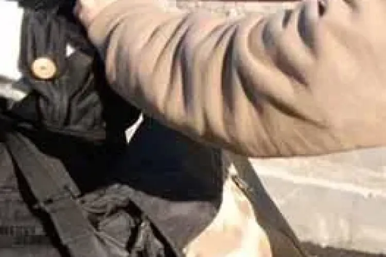 Hoață prinsă de un clujean, în Mărăști, după ce i-a furat banii unui bătrân. A urmărit-o și a pus-o la pământ