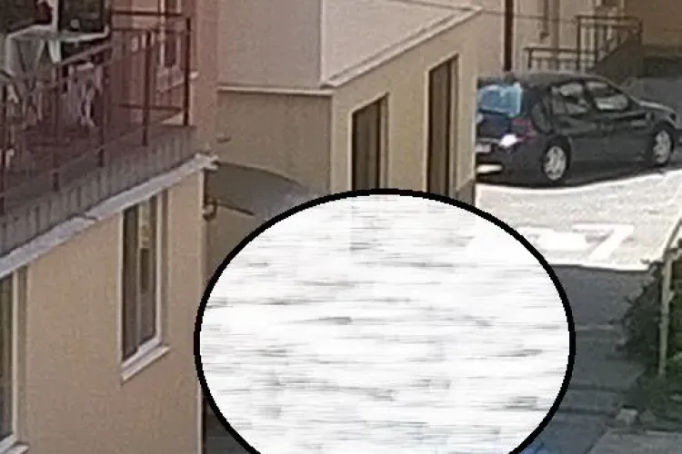 Blocurile rezidențiale din Florești sunt ”invadate” de caii localnicilor - FOTO