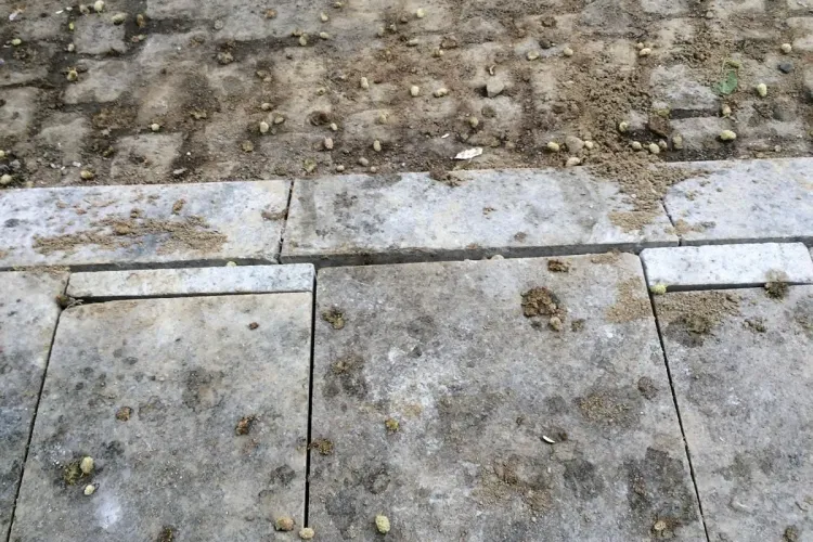 Lucrările de pe I.C. Brătianu sunt ”o batjocură” - Ce reclamă un clujean - FOTO