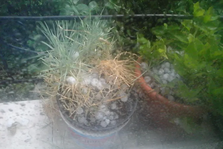 Grindină incredibilă timp de 10 minute în Mănăștur - FOTO