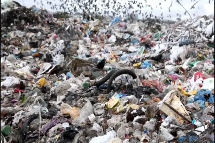 Primăria Feleacu sabotează Clujul. Vom ajunge cu gunoaiele pe stradă sau vom plăti mai mult