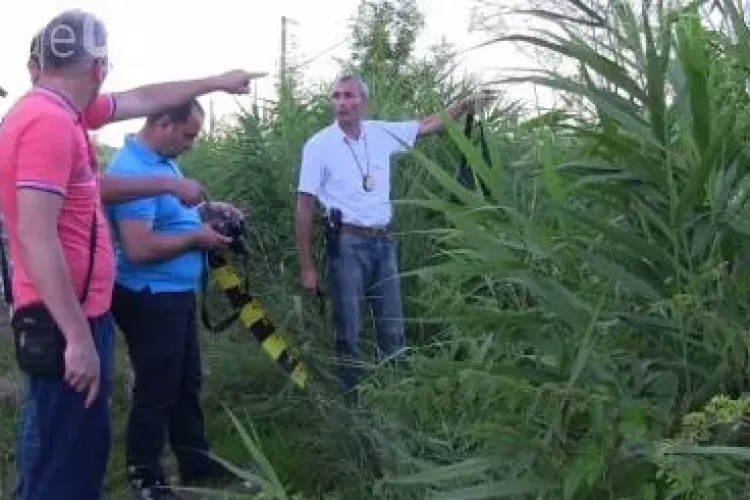 Ce a pățit o femeie din Cluj care s-a dus să se ”ușureze” în tufiș. A prins-o un cioban BARBAR - VIDEO