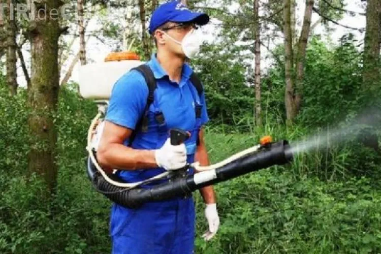 Cluj: Se face a patra etapă de dezinsecţie pe domeniul public