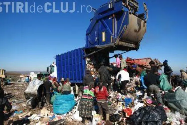 Zeci de țigani de la Pata Rât, duși să se angajeze: ”Pentru 1.050 de lei pe lună nu MUNCIM!”