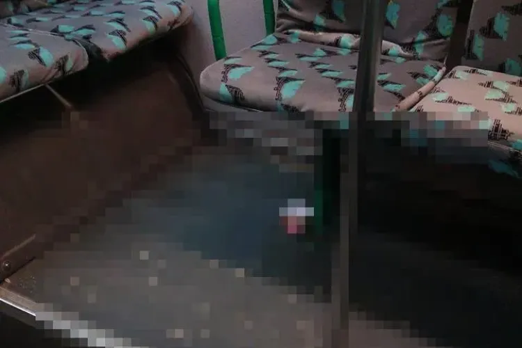 Gradul de civilizație e încă redus la Cluj! Cum arată un autobuz după ce au trecut ”orășenii” - FOTO