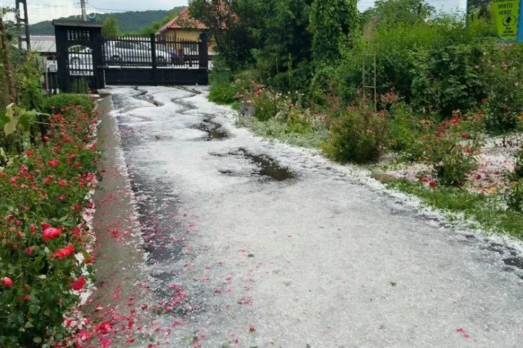 Curtea primarului Șulea, ”calamitată” de grindina de luni seara: A fost cat oul de porumbel - FOTO