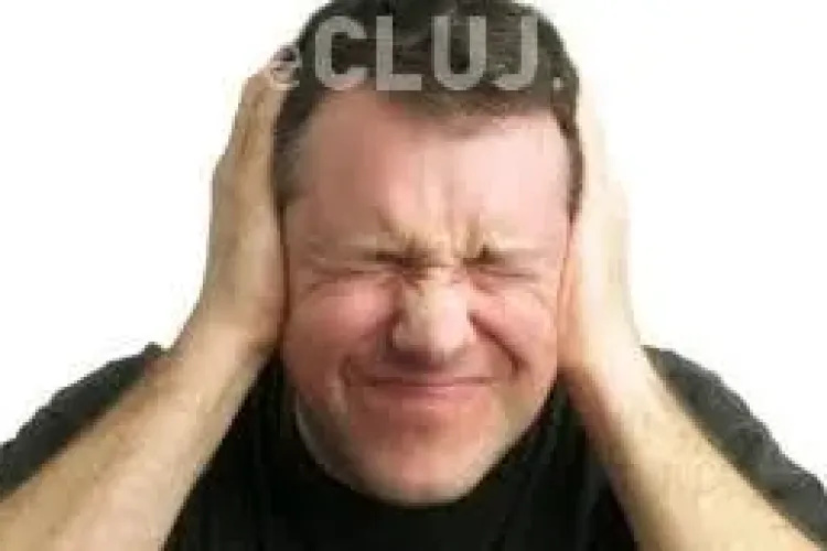 Reclamație privind zgomotul de la Vila Tușa. Ce acuzații se aduc