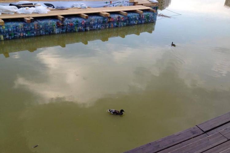 Se IMPUNE decolmatarea lacului de la Iulius Mall Cluj: Arata rau de tot si pute - FOTO