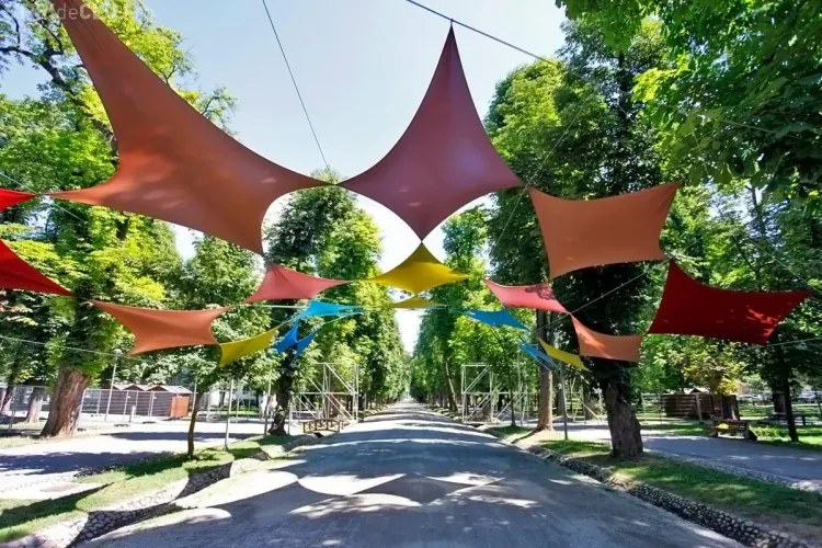 Untold Festival: Când și UNDE se eliberează BRĂȚĂRILE de acces