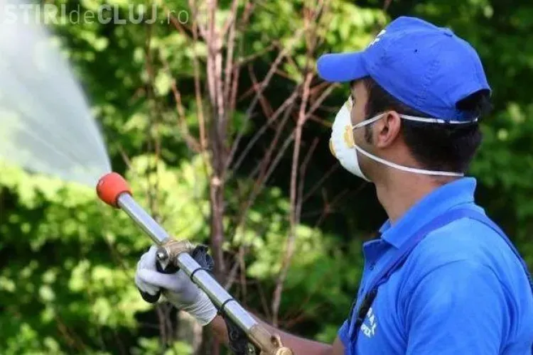Cluj-Napoca: Se face dezinsecție pe domeniul public