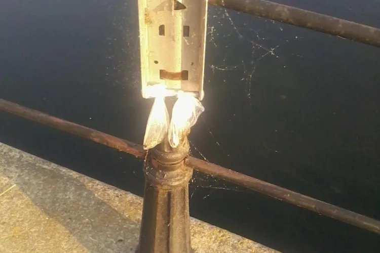 Ce fac proprietarii de câini pe malul Someșului. Un clujean este ORIPILAT - FOTO