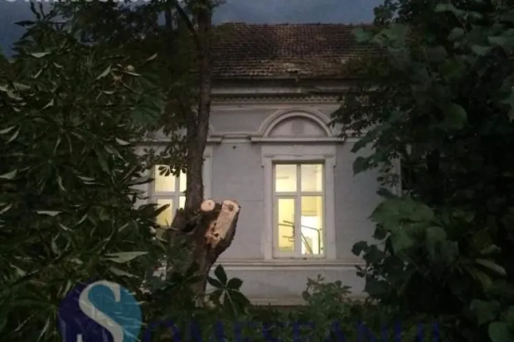 Furtuna a făcut ravagii la Gherla. Un copac a picat peste Spitalul Municipal FOTO