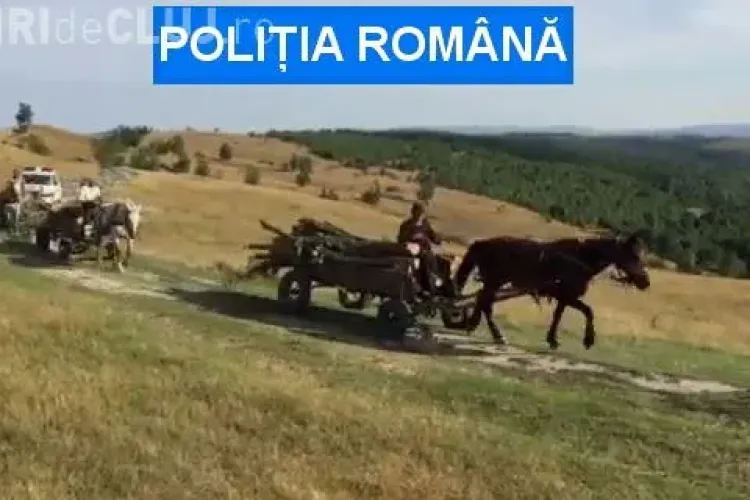 Clujeni prinși în flagrant la furat de lemne. Poliția i-a urmărit cu Loganul - FOTO