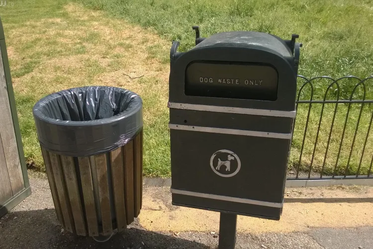 Un consilier local din Cluj-Napoca cere automate cu pungi biodegradabile pentru excrementele câinilor