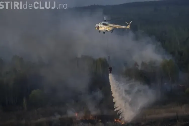 INCENDIU de padure la Maguri Racatau. Au ars 6 hectare - VIDEO cu intervenția elicopterului