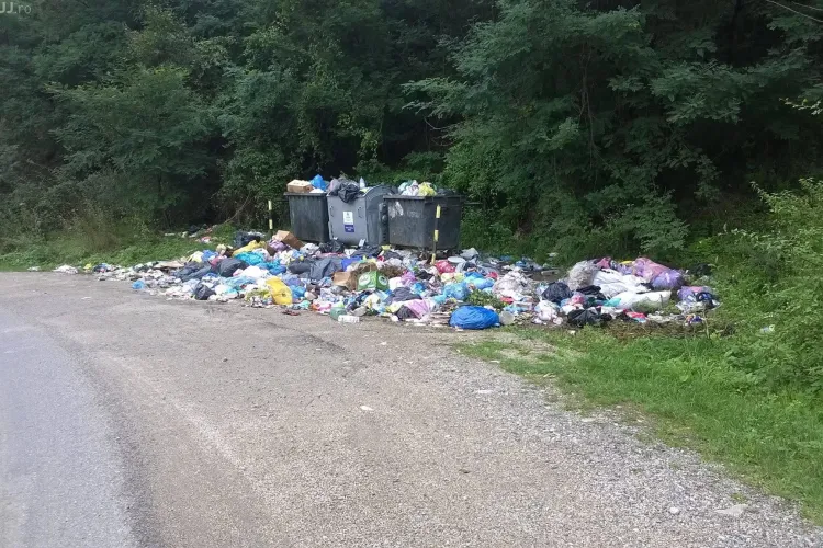 Județul Cluj e sub gunoaie! Deșeuri în zona de munte. Între timp, groapa de gunoi a Clujului e pe butuci