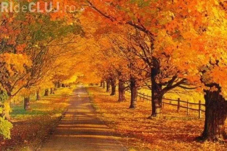 Cum va fi vremea în următoarele două săptămâni. Revin CĂLDURILE