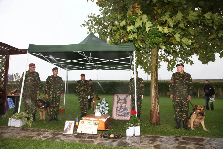 Max, câinele EROU al Armatei Române, înmormântat cu onoruri - FOTO