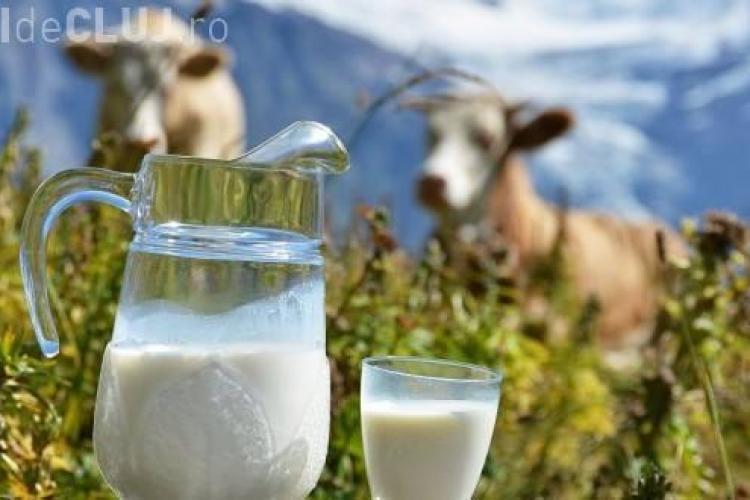 Comisia Europeană analizează posibilitatea prelungirii sprijinului pentru depozitarea privată a laptelui