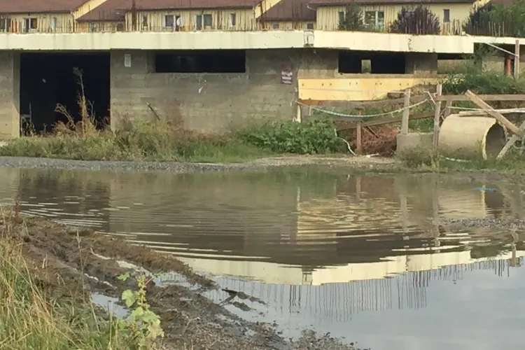 Horia Sulea a trimis Politia Locală pe drumul cu dejectii din comuna: Canalizarea e proprietatea oamenilor