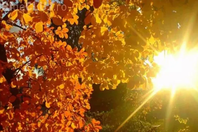 Cum va fi VREMEA în Transilvania, în următoarele 2 săptămâni