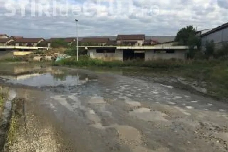 Primaria Florești: Nu am efectuat săpături în zona ansamblurilor Emerald Gardens și Sun City. Mizeria este din cauza altora