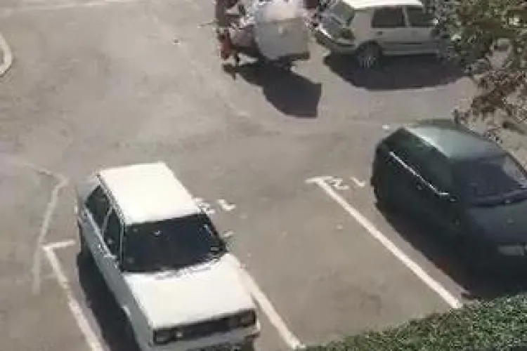 Tomberoanele din Mănăștur sunt răvășite de țigani. Ce SOLUȚIE propunea Emil Boc - VIDEO