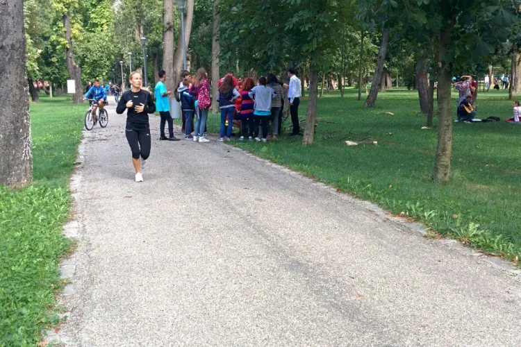 O sportivă a fost rănită în Parcul Central Cluj de o creangă căzută dintr-un copac - FOTO