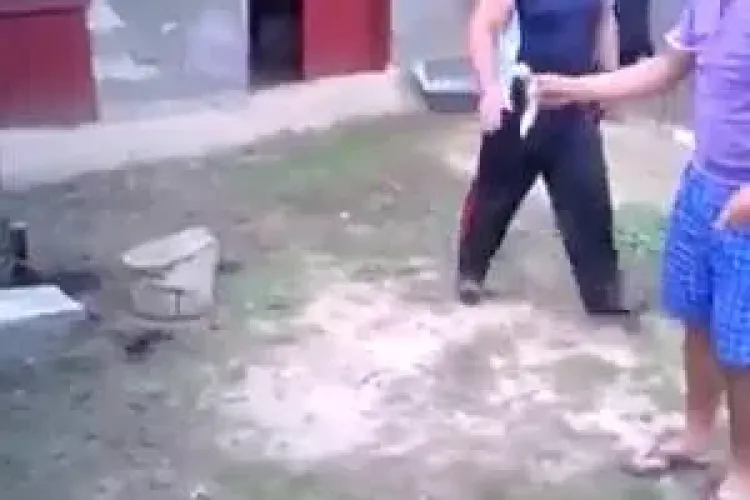 Ce MĂSURI s-au luat împotriva BARBARILOR care au tăiat coada câinelui 