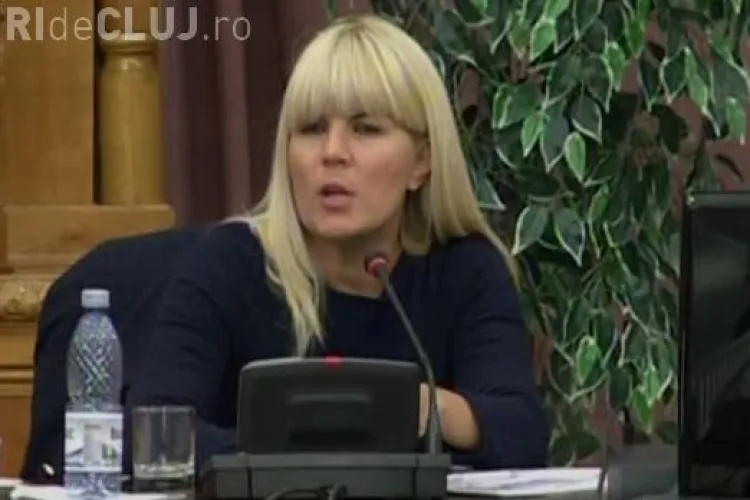 Elena Udrea propune arestul de weekend pentru a combate supraaglomerarea închisorilor