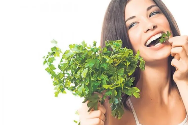 Ce VINDECĂ această PLANTA nici nu visezi: Inhibă cancerul și hepatita, tratează litiaza renală și biliară