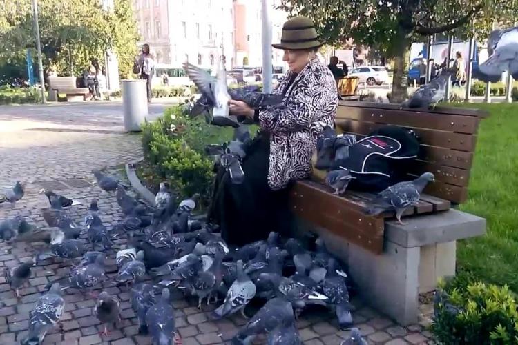 Porumbeii din Piata Avram Iancu - Simplitate si bucurie - VIDEO NO COMMENT