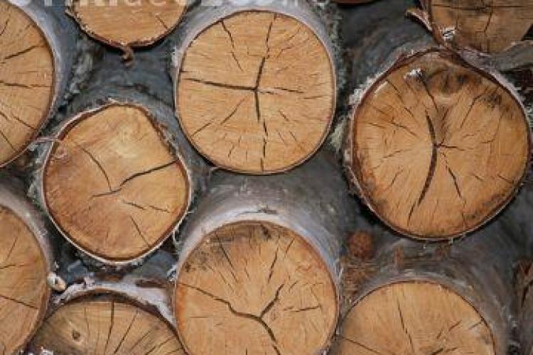 Razie la un depozit din Cluj! Polițiștii au confiscat material lemnos de peste 4.000 euro
