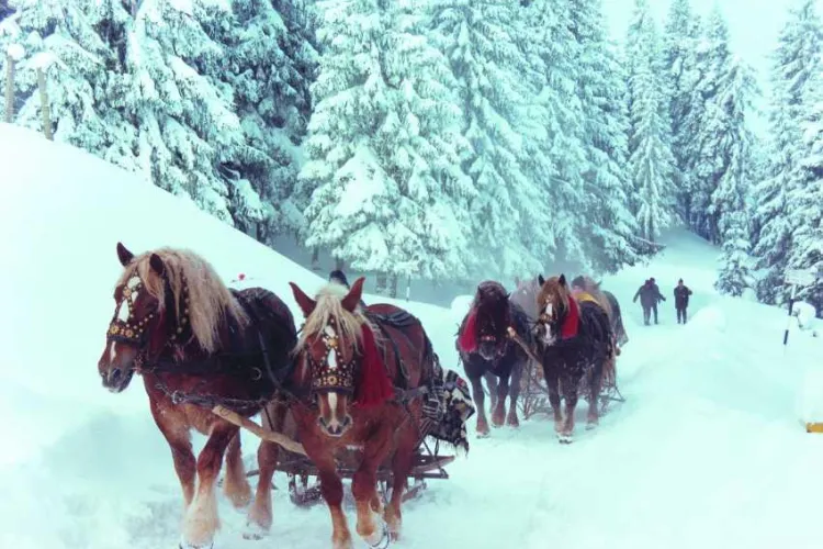 Revelion de poveste în Maramureș, cu sănii trase de cai și acces la piscină. Ofertă Early booking (P)