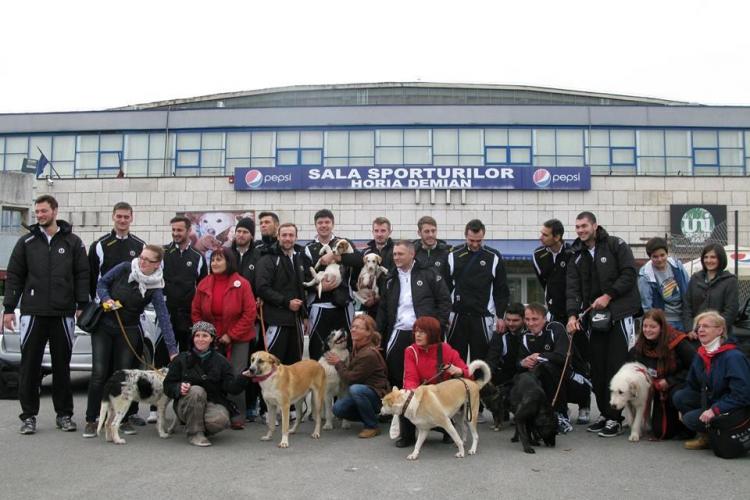Voleibaliștii de la U Cluj susțin câinii fără stăpân și Asociația Arca lui Noe - FOTO