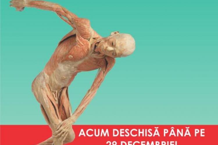 Expoziția ”OUR BODY: Universul Interior”, de la Iulius Mall Cluj, se prelungește până la sfârșitul lunii decembrie (P)