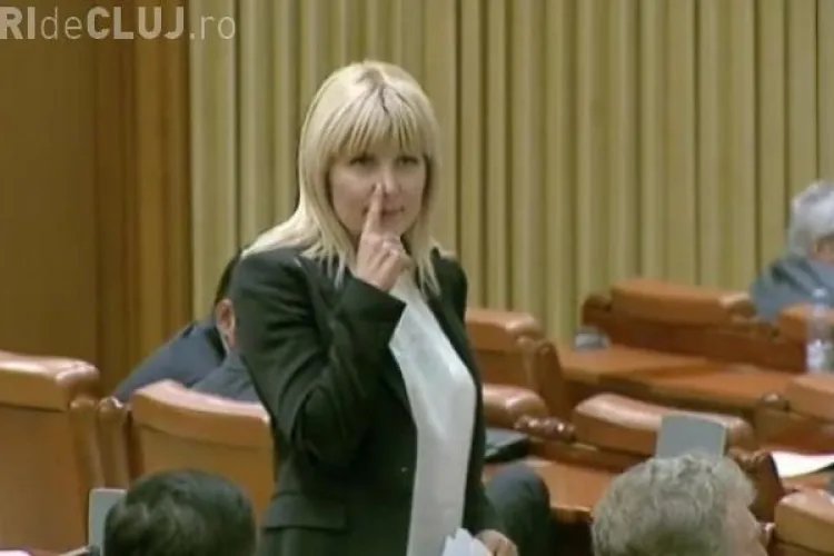 Elena Udrea NU va fi ARESTATĂ de DNA, pentru că deputații s-au opus