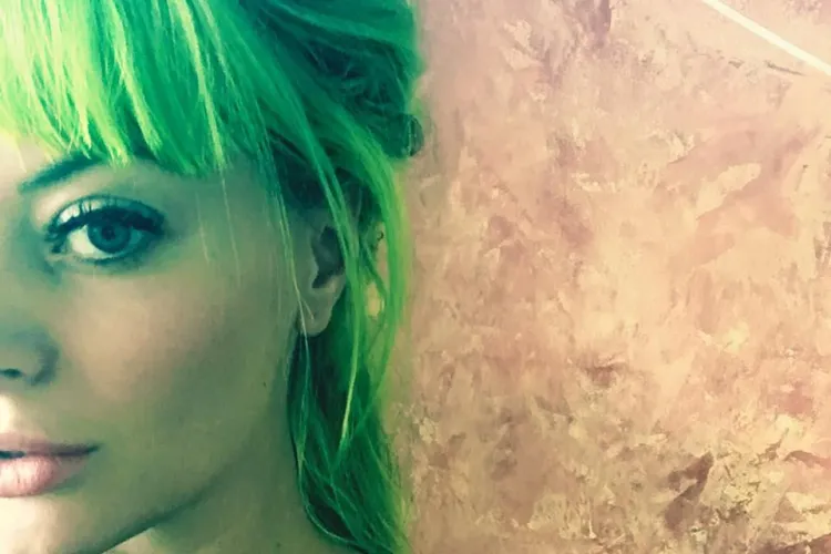 Răspunsul FURIOS al Deliei Matache, după ce un fan a jignit-o pentru că a cântat o melodie a celor de la Goodbye to Gravity