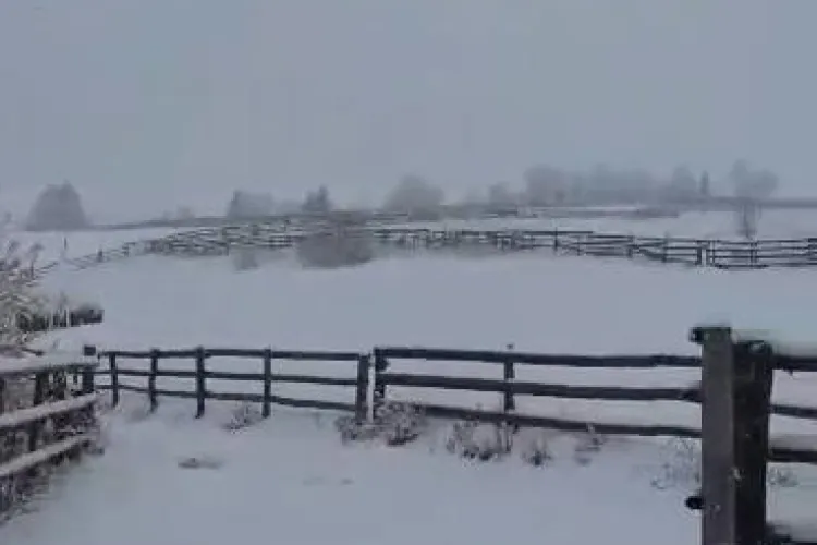 NINGE ca în povești la munte, în județul Cluj - VIDEO