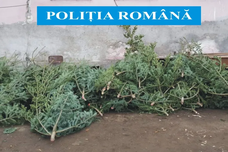Raziile polițiștilor clujeni îi sperie pe vânzătorii de brazi. Câți și-au abandonat marfa prin piețe