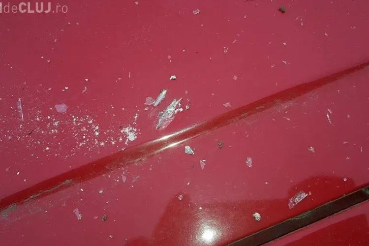 Cluj: A picat examenul de permis și a DISTRUS un Mustang de colecție - FOTO