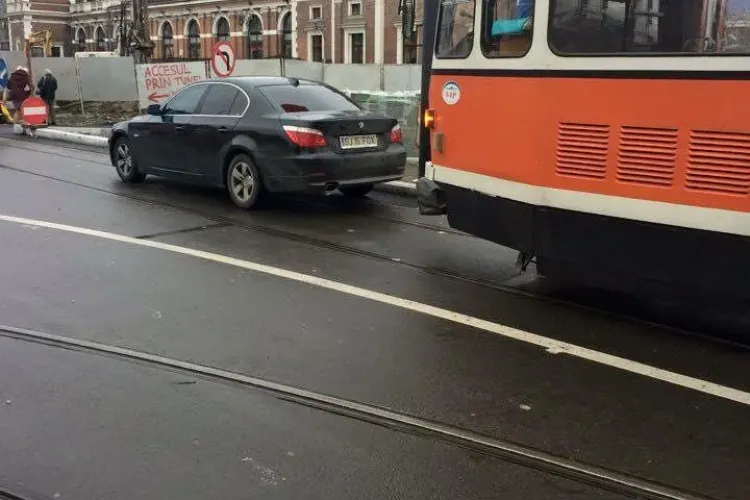 Colecție de BIZONI pe străzile din Cluj-Napoca - FOTO